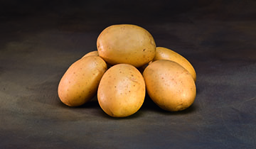 Alegria Alegria